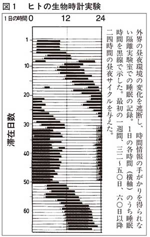 図1