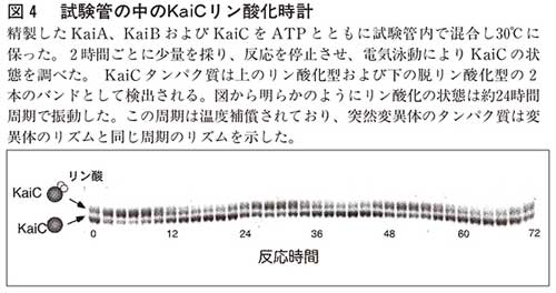 図4