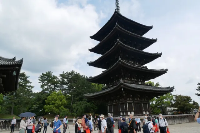興福寺国宝五重塔の見学会